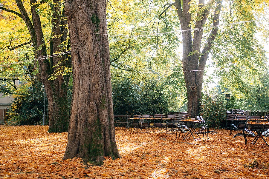 Hochzeitsreportage in Pforzheim Seehaus und Kräutergarten