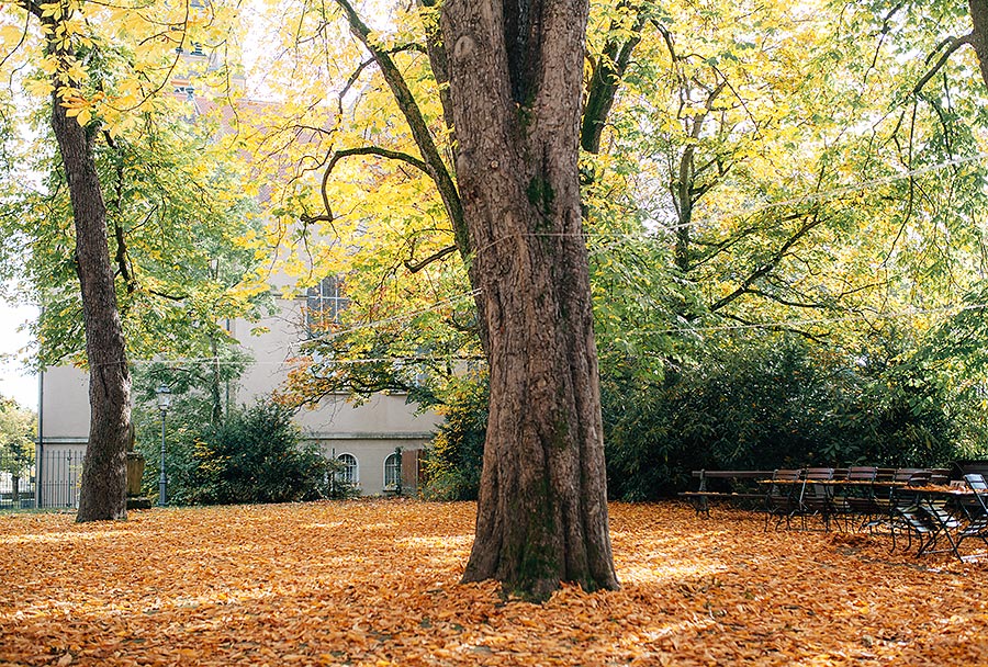 Hochzeitsreportage in Pforzheim Seehaus und Kräutergarten