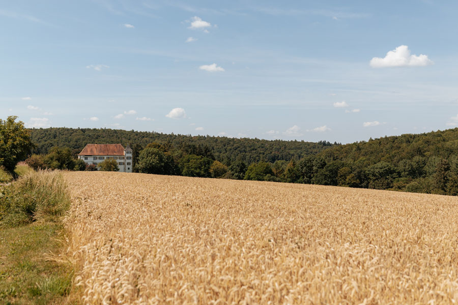 Hochzeitsfotograf in Schloss neuhaus Sinsheim