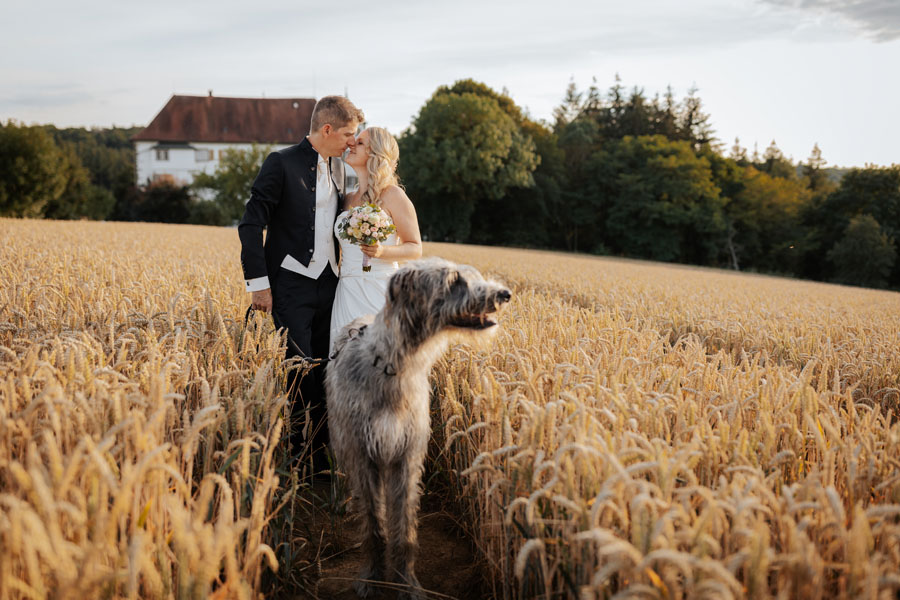 Hochzeitsfotograf in Schloss neuhaus Sinsheim