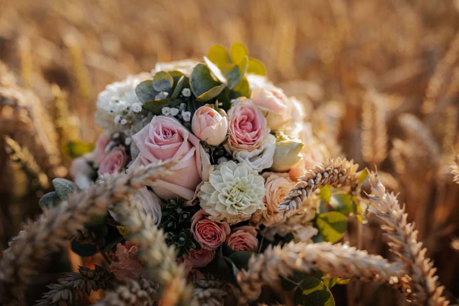 Hochzeitsfotograf in Schloss neuhaus Sinsheim