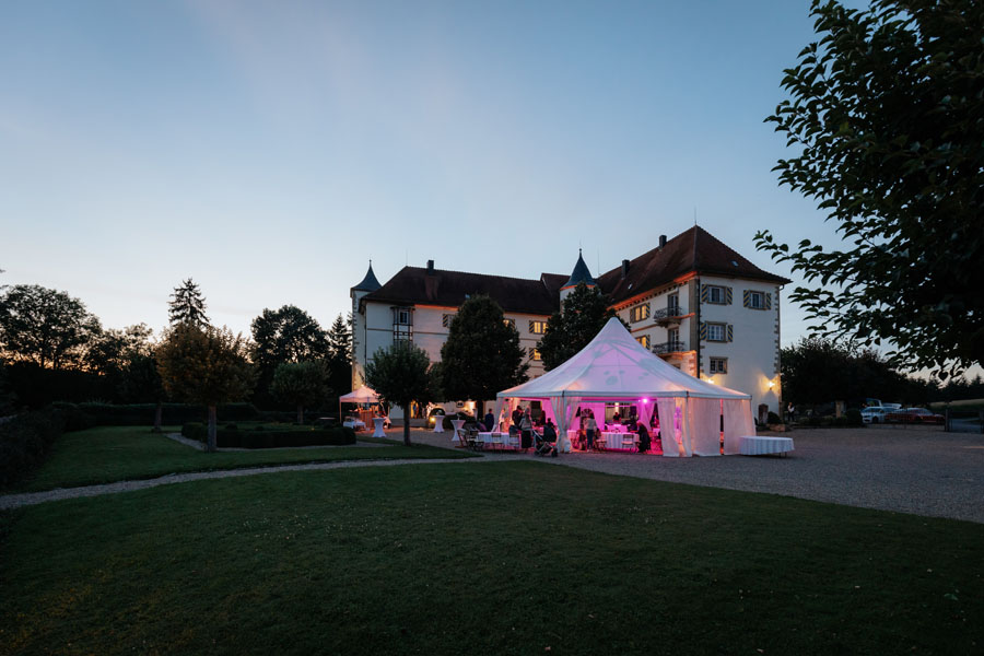 Hochzeitsfotograf in Schloss neuhaus Sinsheim